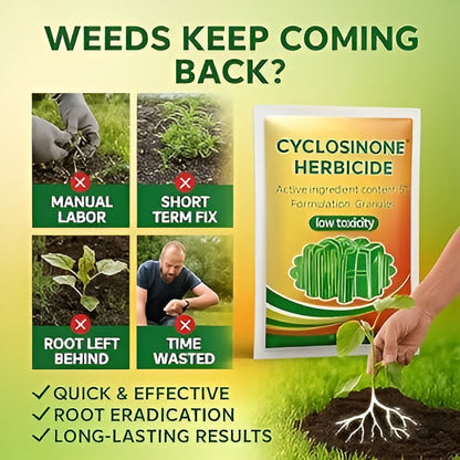 Cyclosinone Herbicide Granules - 50% OFF