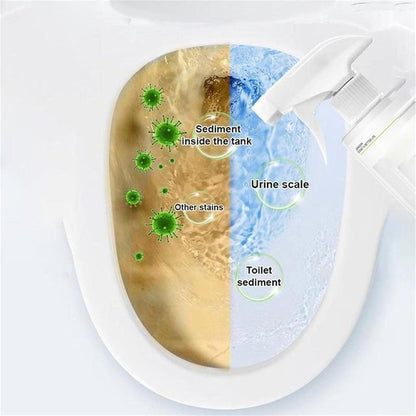 🚨 HURRY! BUY 1 GET 1 FREE OFFER LIVE – Oxalic Acid Stain Remover Spray