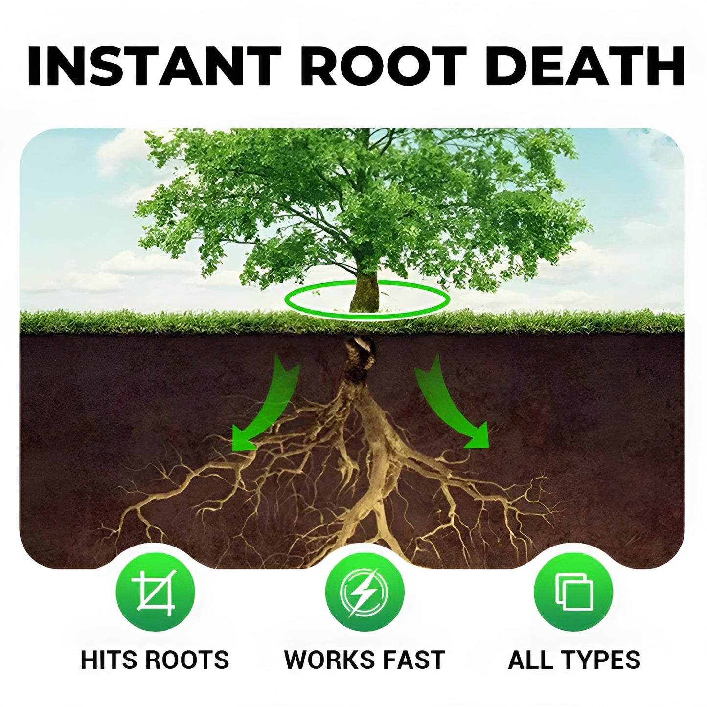 Cyclosinone Herbicide Granules - 50% OFF